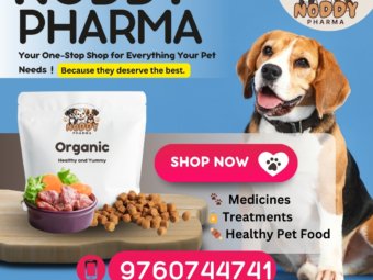 WhatsApp Image 2025-03-20 at 18.42.59_20f33d05