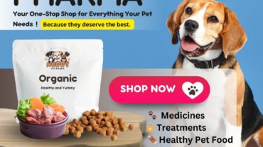 WhatsApp Image 2025-03-20 at 18.42.59_20f33d05